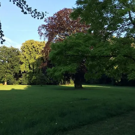 Domaine D'antigneul *